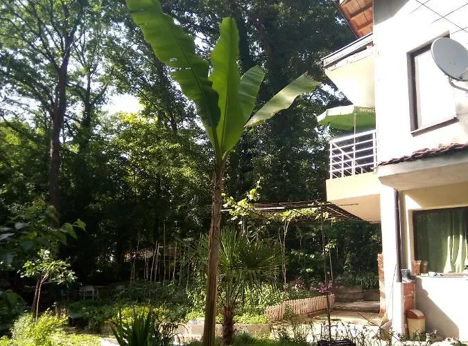 Gasthof Apartment's Pita & Mare